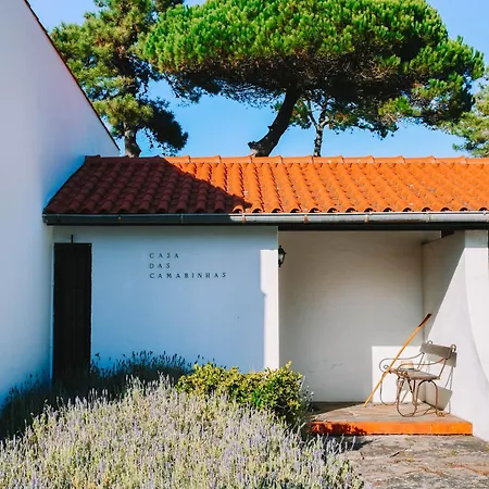 Villa Just Like Casa Das Camarinhas *